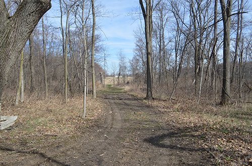Property photo 130 - REAL ESTATE & PERSONAL PROPERTY AUCTION, 140 Acres offered in 8 Tracts or Combinations in Steuben County